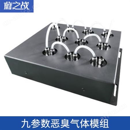 有毒有害恶臭浓度在线监测公司