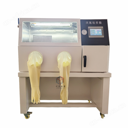 销售厌氧培养箱生产