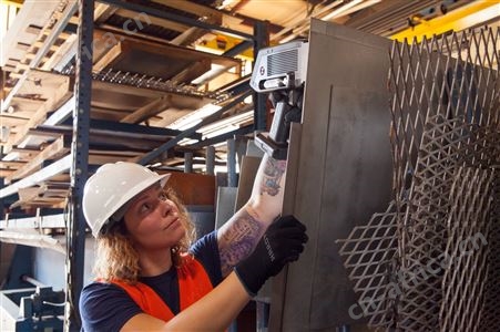 进口便携式近红外光谱仪厂家