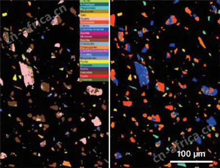 国产偏光显微镜多少钱